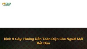 Binh 9 Cây: Hướng Dẫn Toàn Diện Cho Người Mới Bắt Đầu