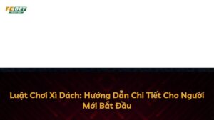 Luật Chơi Xì Dách: Hướng Dẫn Chi Tiết Cho Người Mới Bắt Đầu